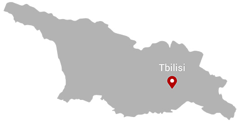 local tour operators in tbilisi georgia